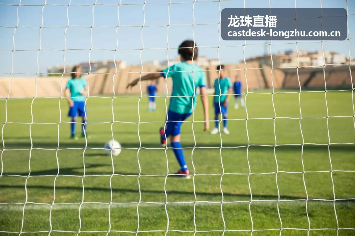 龙珠直播粉丝应援季活动海报